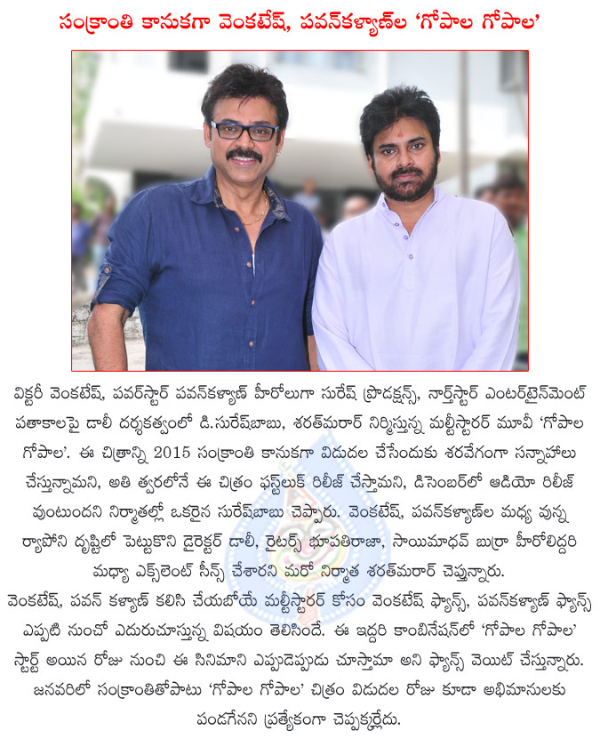 venkatesh and pawan kalyan multi starrer gopala gopala,telugu movie gopala gopala,gopala gopala audio will release in december,gopala gopala movie releasing in january,gopala gopala director dolly  venkatesh and pawan kalyan multi starrer gopala gopala, telugu movie gopala gopala, gopala gopala audio will release in december, gopala gopala movie releasing in january, gopala gopala director dolly